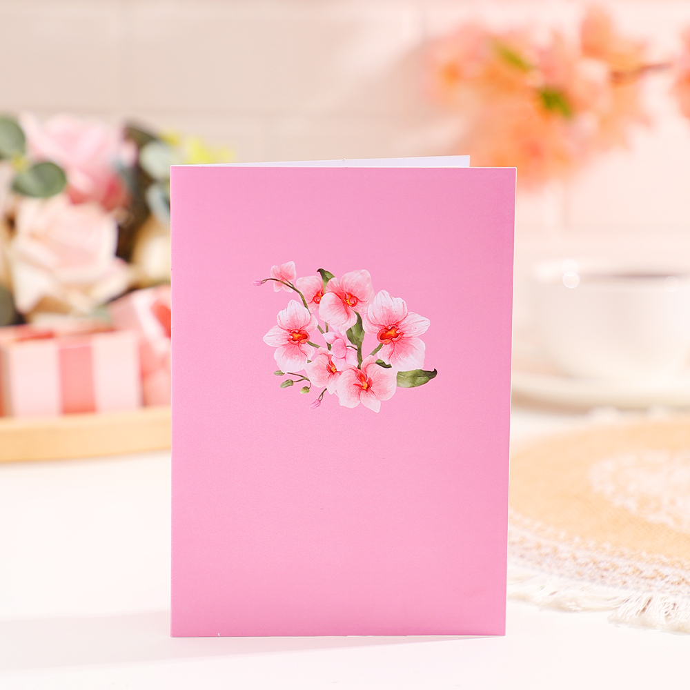 Phalaenopsis Blossom Greeting  - Wedding Sutra avaliação e preço